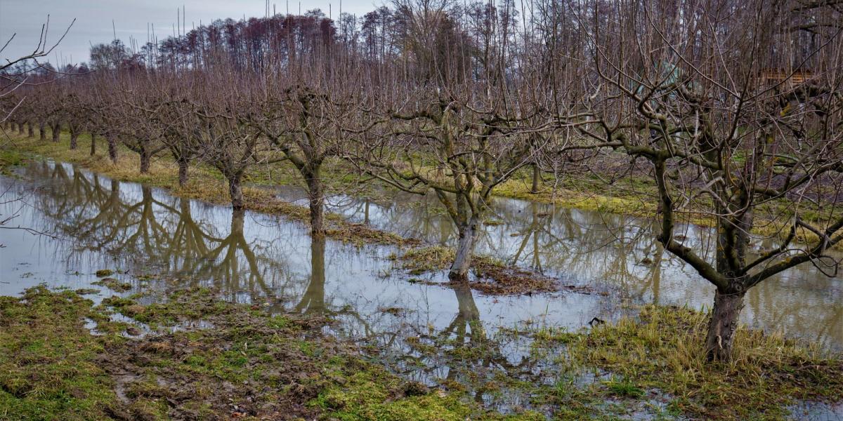 Belvíz azért akad az olvadás után - MTI fotó/Varga György