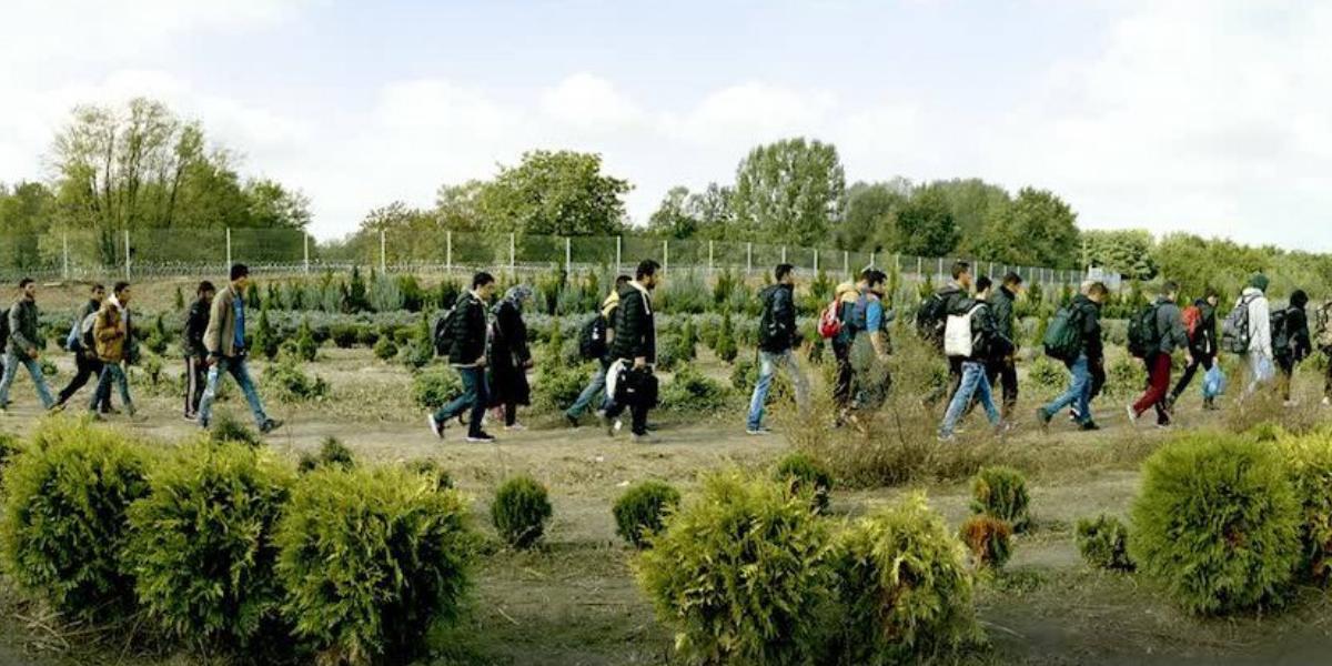 A képekből pontosan érezhető a kiszolgáltatottság Fotó: Molnár Zoltán