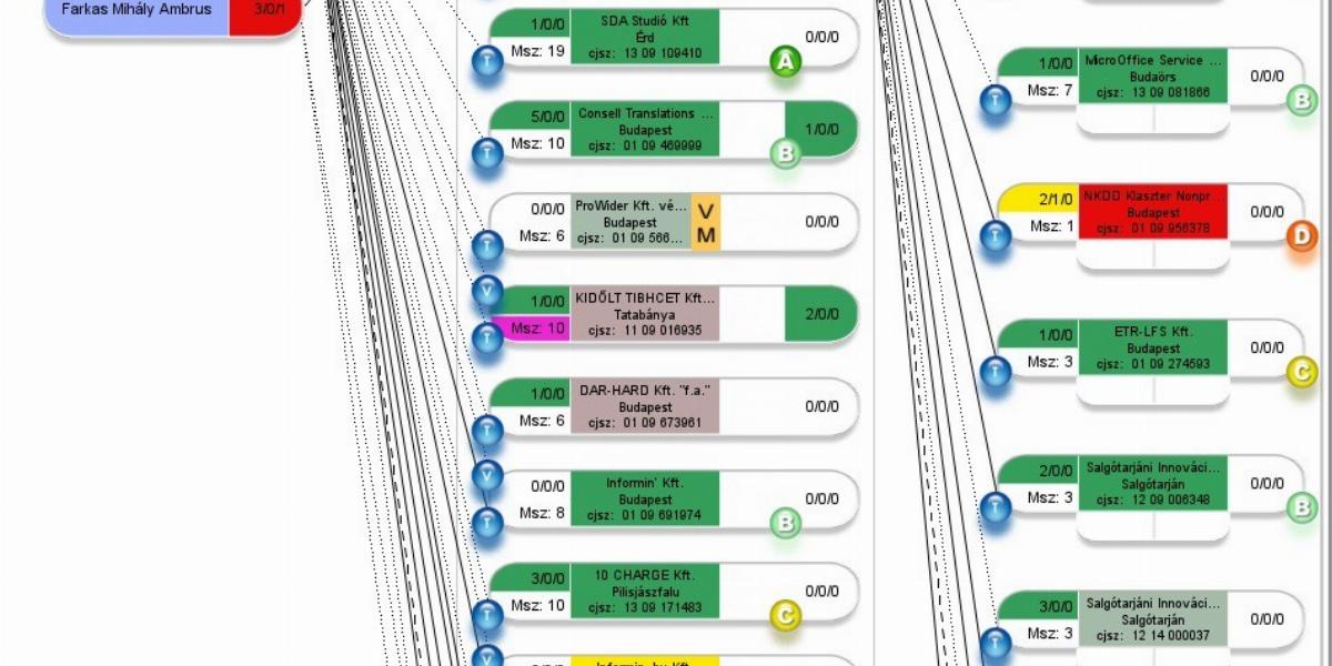 A Fauszt Zoltánhoz kötődő cégháló tagjai jól teljesítenek az állami közbeszerzéseken Forrás: Opten 