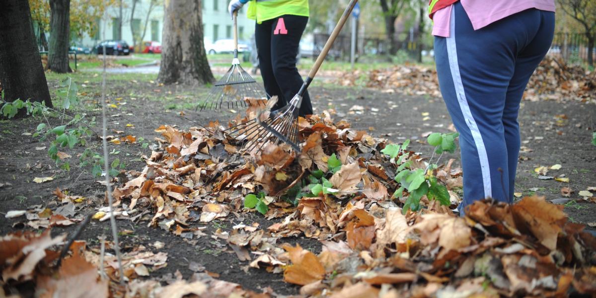 Képünk illusztráció. Fotó: TÓTH GERGŐ, Népszava