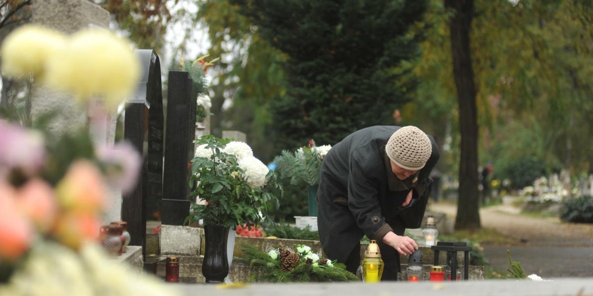 Képünk illusztráció. Fotó: Tóth Gergő