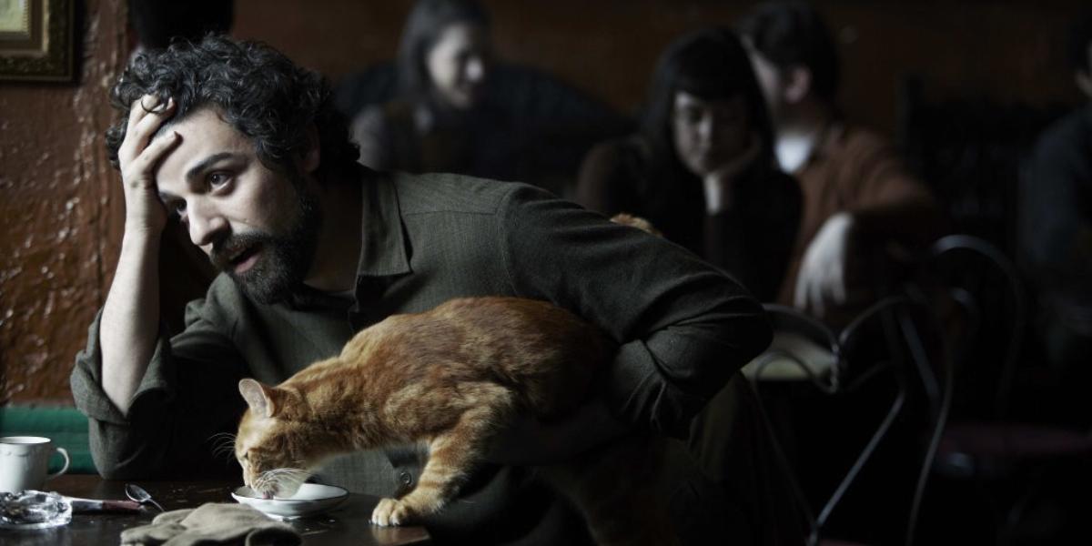 Oscar Isaac a Coen testvérek filmjében mint Llewyn Davis folkénekes a jelenetben a hozzácsapódott macskát eteti FORRÁS: VERTIGO 