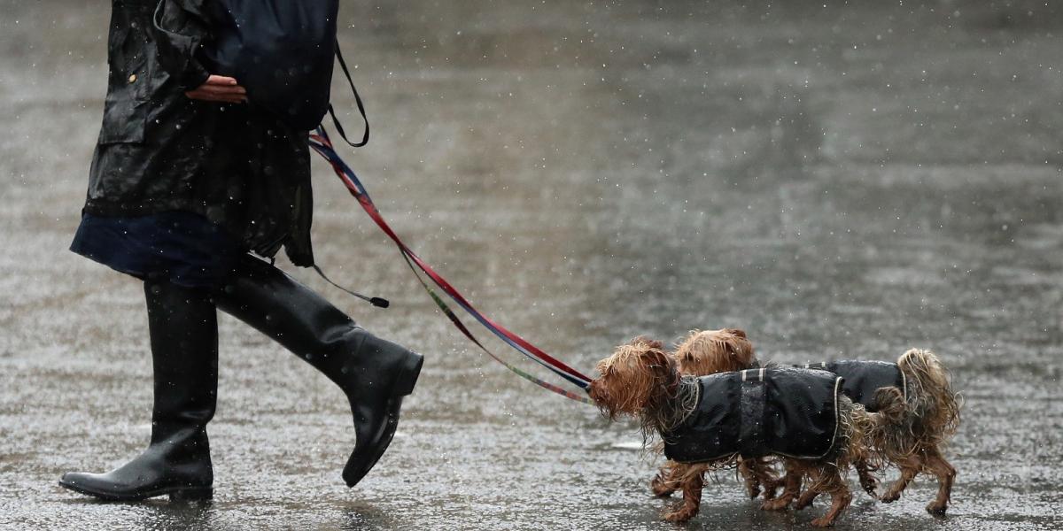 Fotó: Christopher Furlong / Getty Images