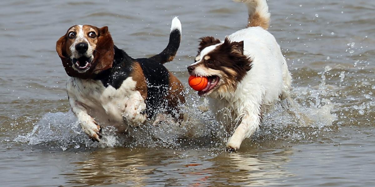 A kép illusztráció Fotó: Getty Images