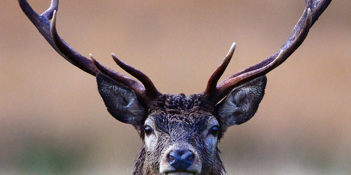 A kép illusztráció Fotó: Getty Images