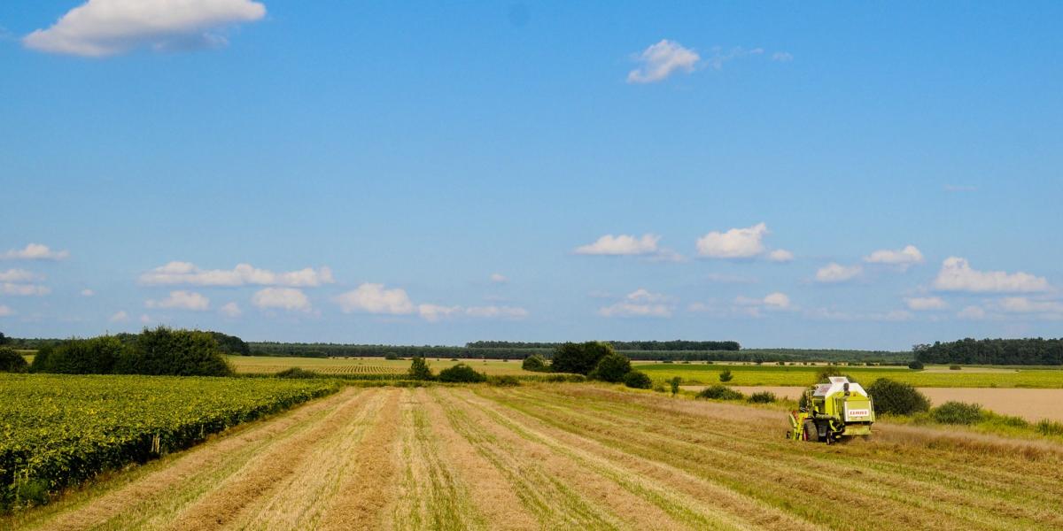 A néhány tízezer hektárt érintő zsebszerződéses ügyeknél jóval lényegesebb kérdés a vidék megtartó erejének vészes fogyása. Fotó