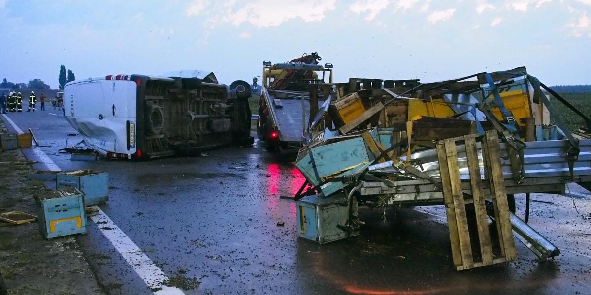 Összetört méhszállító ládák az M5-ös autópálya Budapest felé vezető oldalán, a 48-as kilométerszelvénynél. Fotó: Donka Ferenc/MT