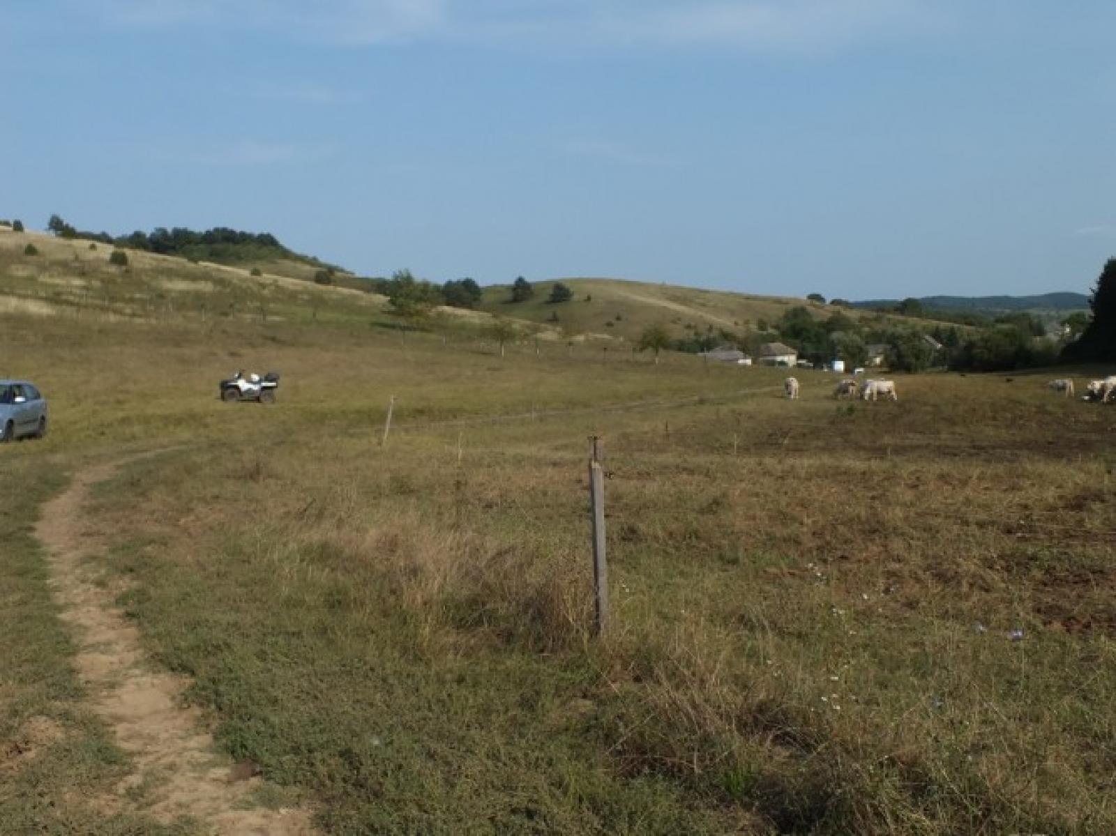 Fotó: police.hu