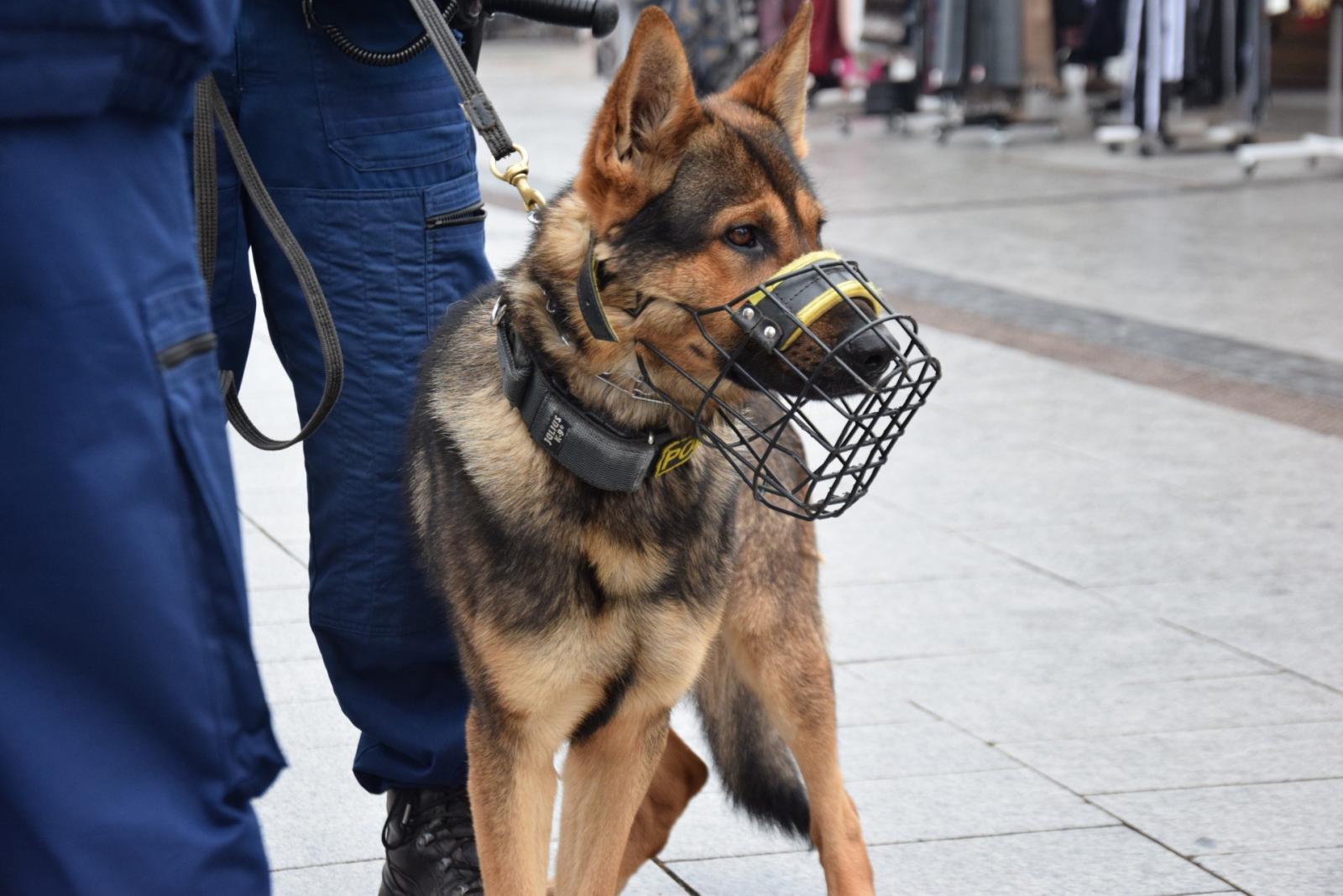 Fotó: police.hu