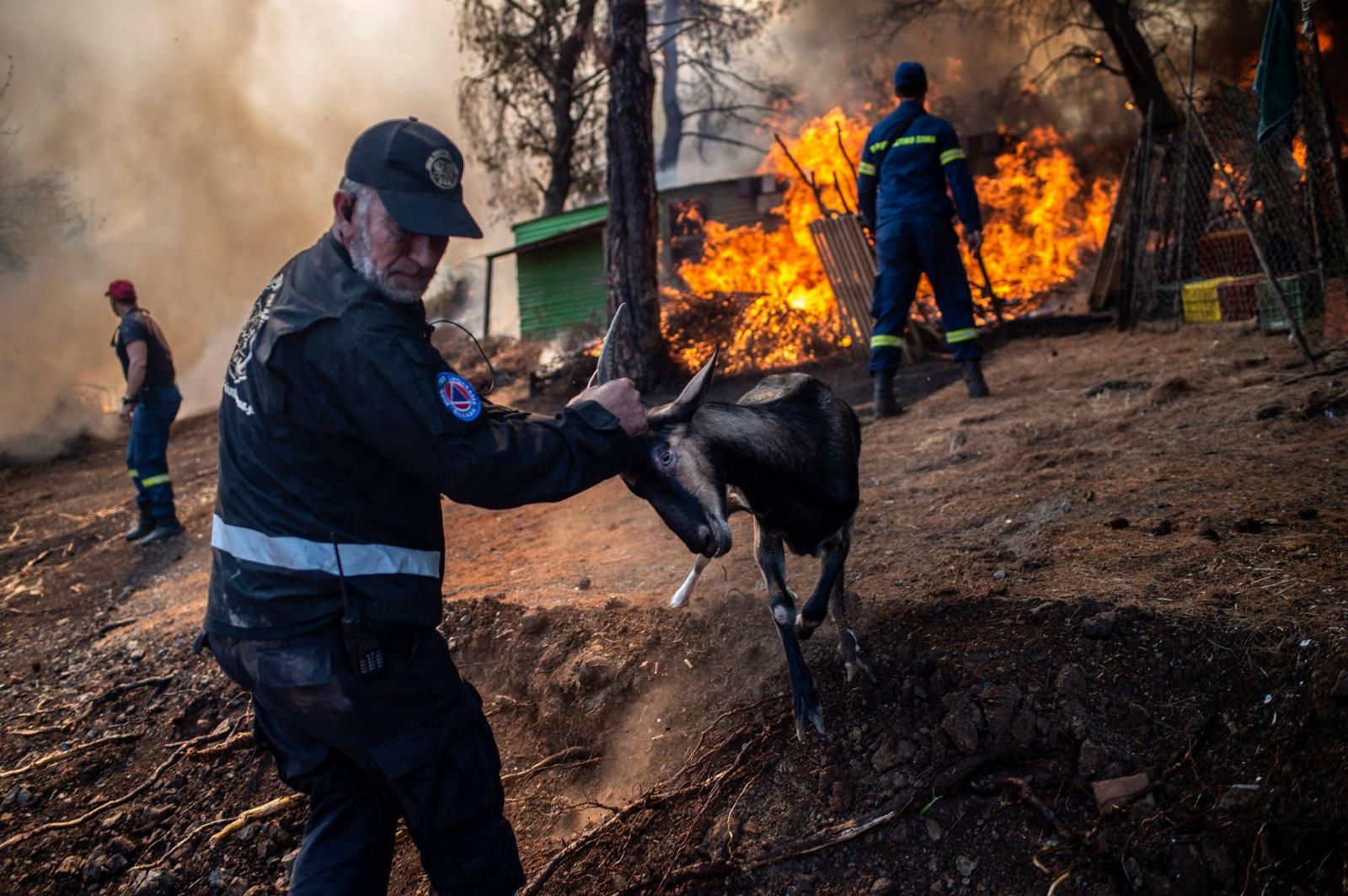 Turkey: Forest fire destroys over 1,200 acres of land