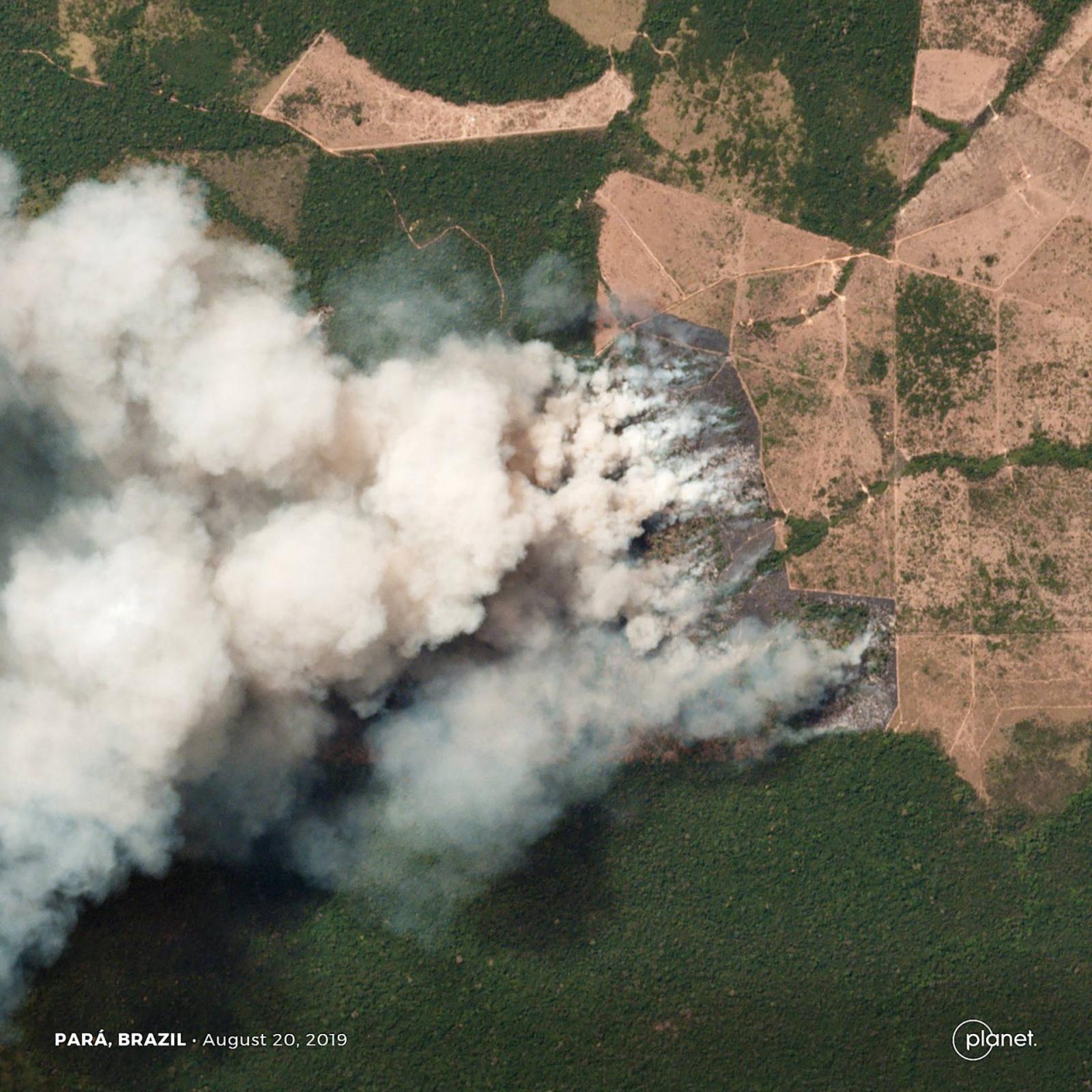 Turkey: Forest fire destroys over 1,200 acres of land