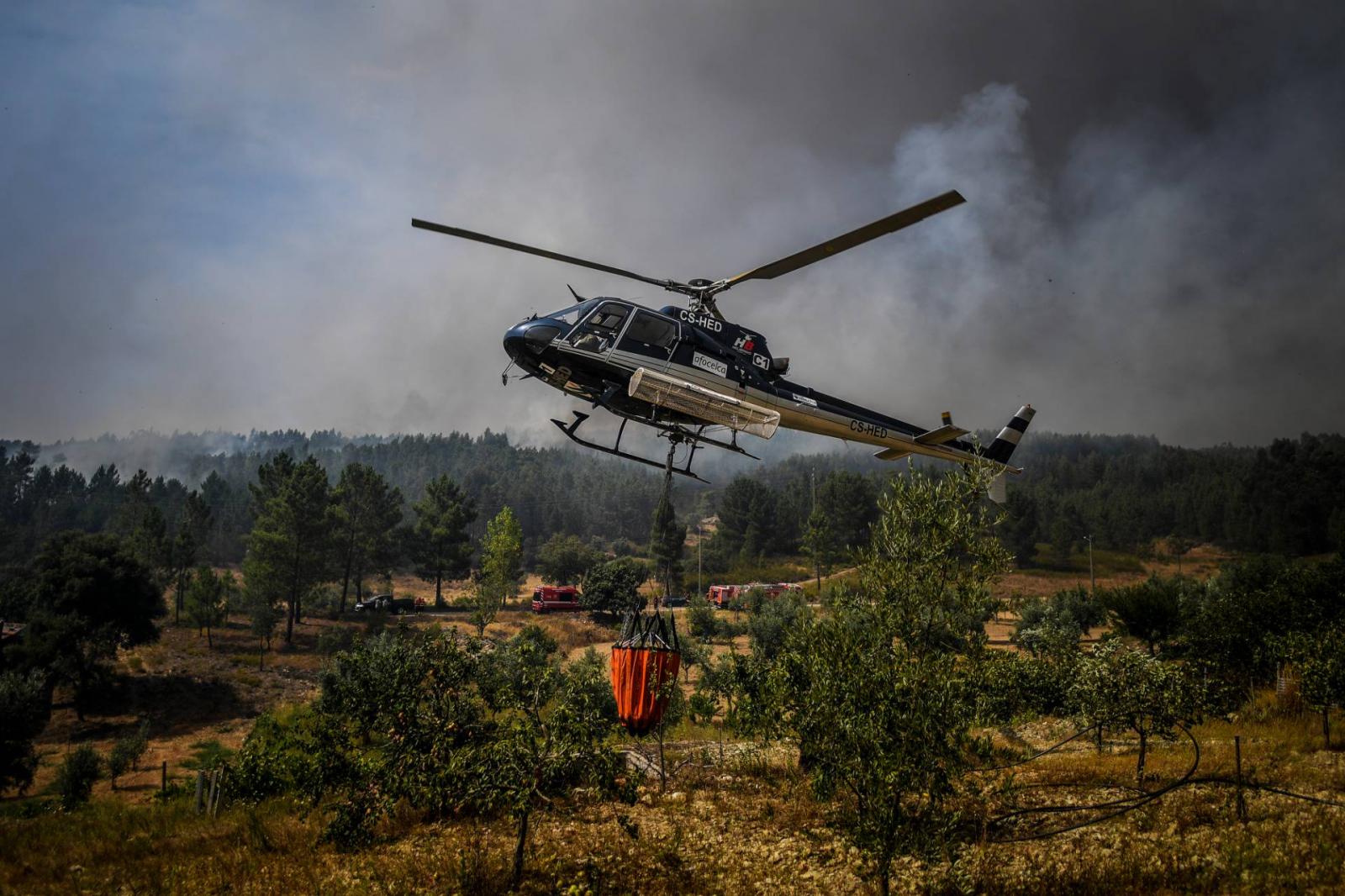 Turkey: Forest fire destroys over 1,200 acres of land