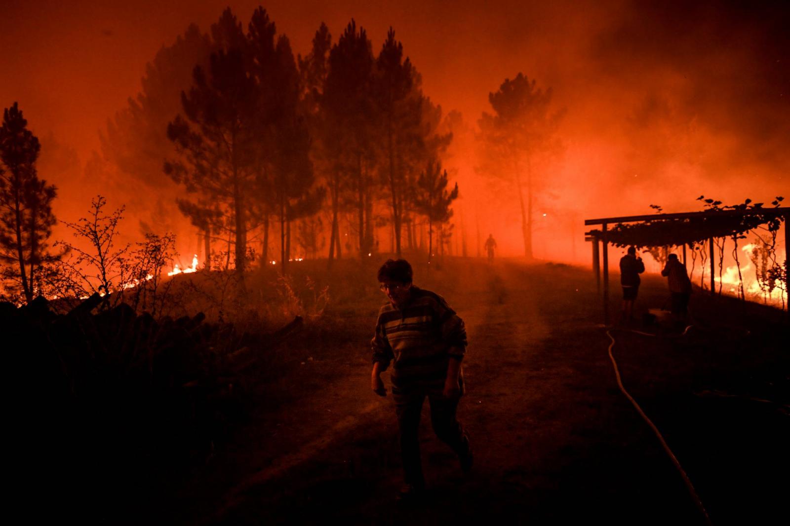 Turkey: Forest fire destroys over 1,200 acres of land