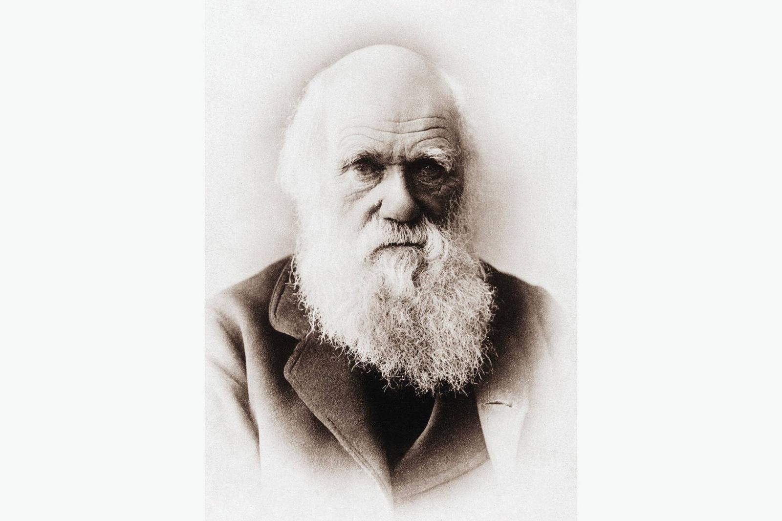 Darwin