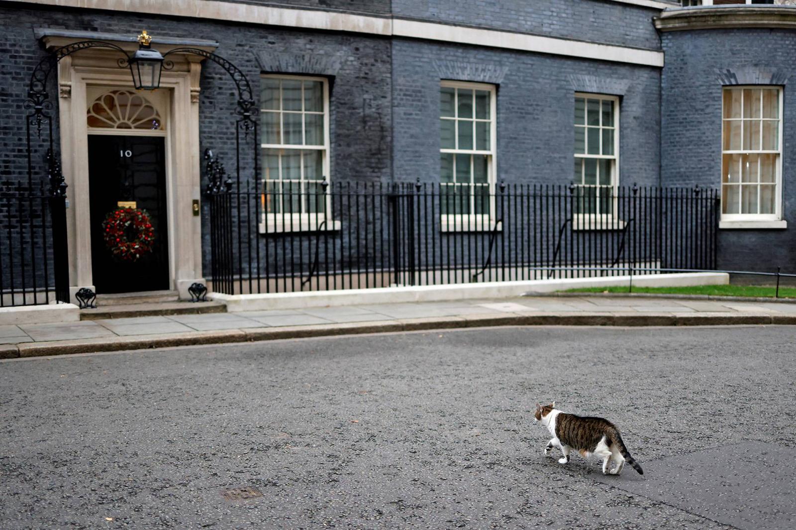 Downing Street 10