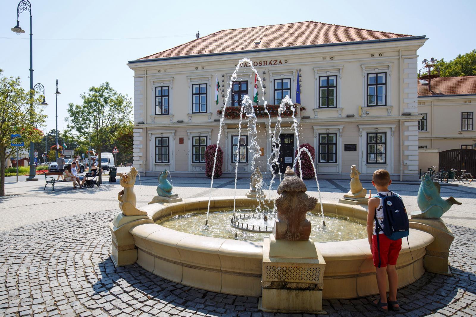 <p>A sárvári központú körzethez hét kisváros és hetven, többnyire kicsi falu tartozik. A kormánypártok médiája itt óriási túlerőben van.</p>