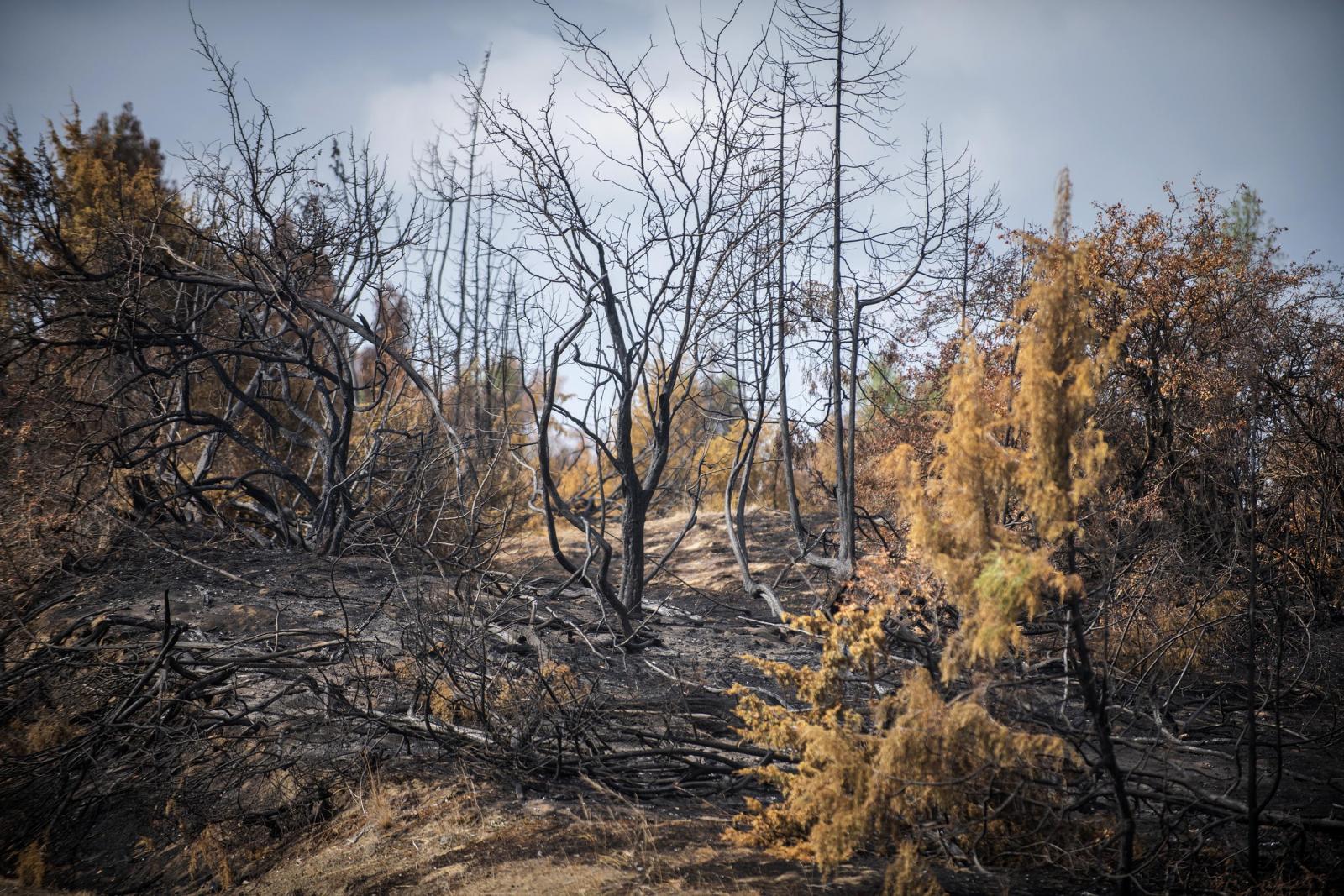 2022. december 2. Tanárok, diákok és szülők vonulnak a Karinthy Gimnáziumtól a Külső-Pesti Tankerület elé. A tüntetésen részt vettek a kirúgott tanárok is, a képen Rábai János aki az év tanára díjat is megkapta