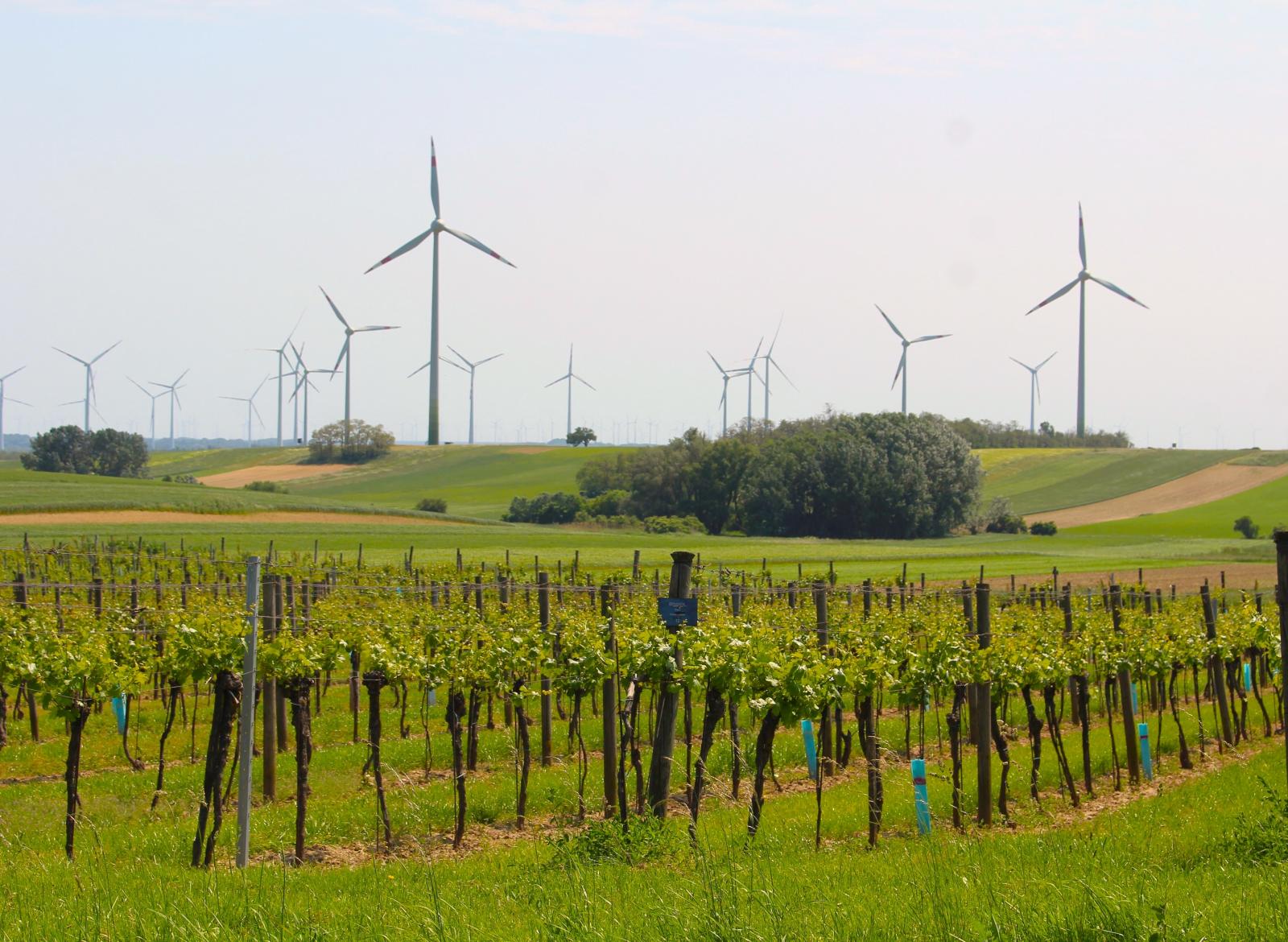 Szélkerekek Burgenlandban