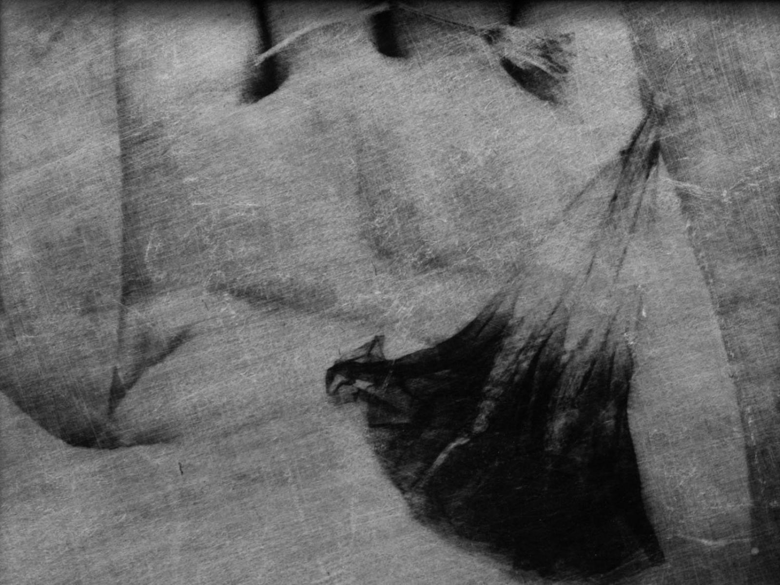 Különdíj: Kertem-01 (digitális print)