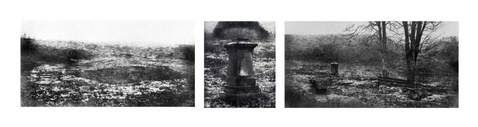 Különdíj: Kertem-01 (digitális print)