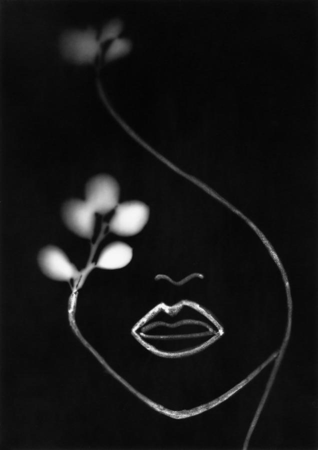 Különdíj: Kertem-01 (digitális print)