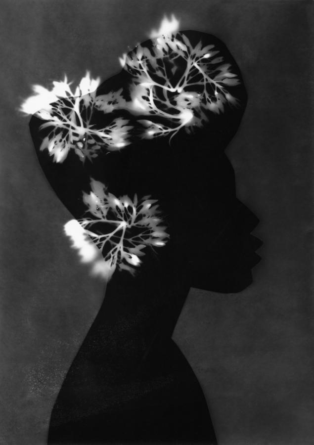 Különdíj: Kertem-01 (digitális print)