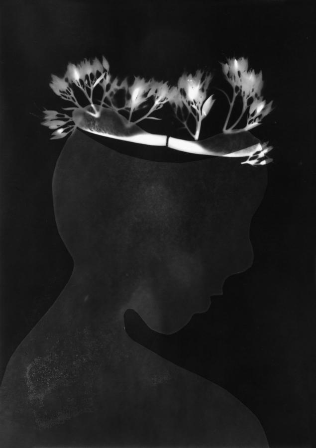 Különdíj: Kertem-01 (digitális print)