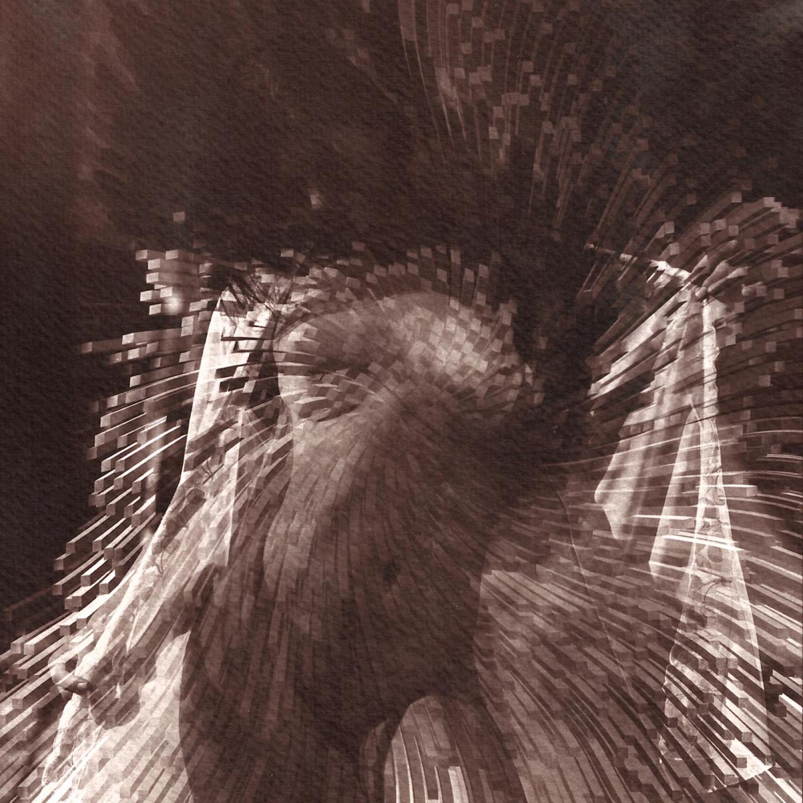I. díj négy képes kollekcióra: Przybyszowska Alicja - Absolute beauty... -2. (digitális print)