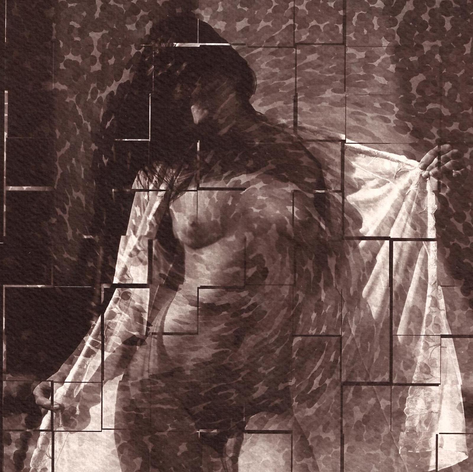 I. díj négy képes kollekcióra: Przybyszowska Alicja - Absolute beauty... -2. (digitális print)
