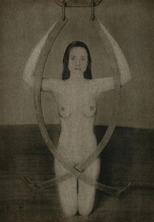 I. díj négy képes kollekcióra: Przybyszowska Alicja - Absolute beauty... -2. (digitális print)