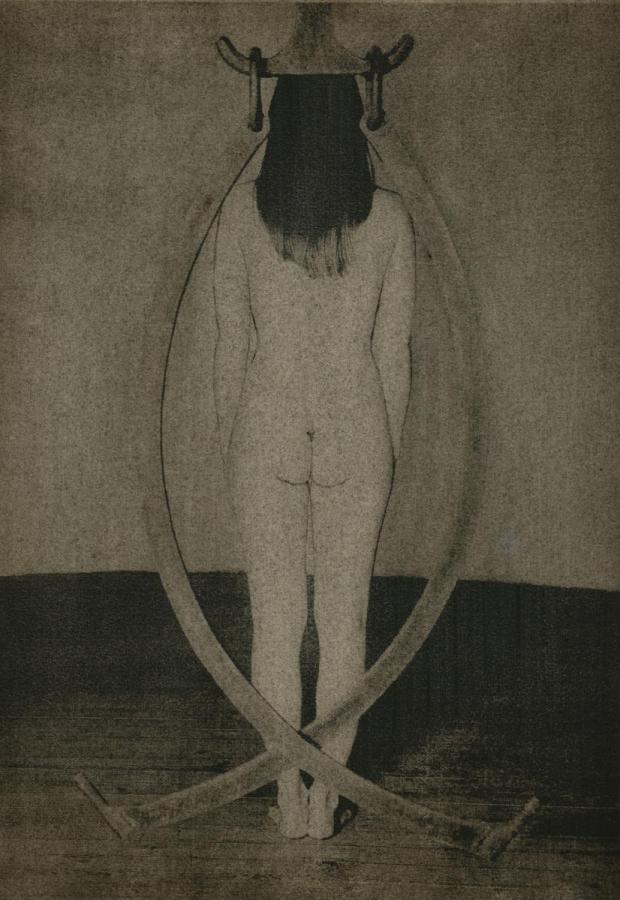 I. díj négy képes kollekcióra: Przybyszowska Alicja - Absolute beauty... -2. (digitális print)