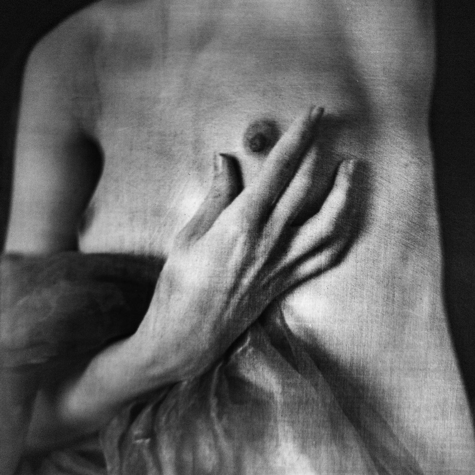 I. díj négy képes kollekcióra: Przybyszowska Alicja - Absolute beauty... -2. (digitális print)
