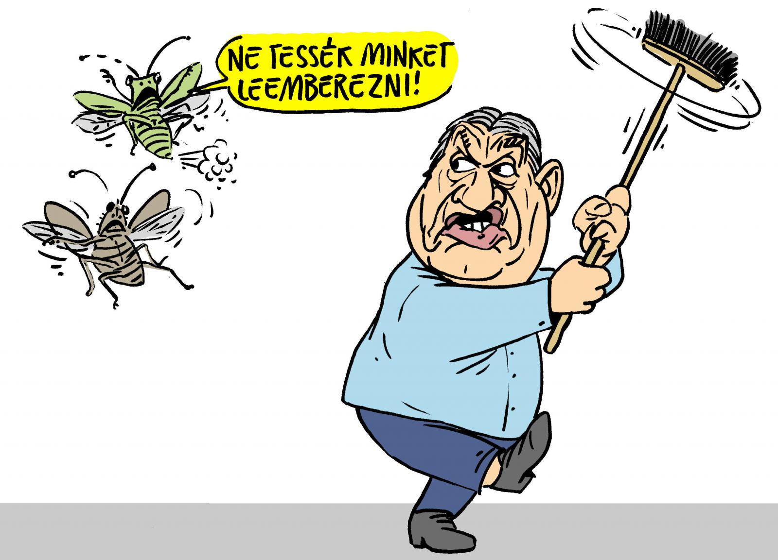 Pápai Gábor rajza