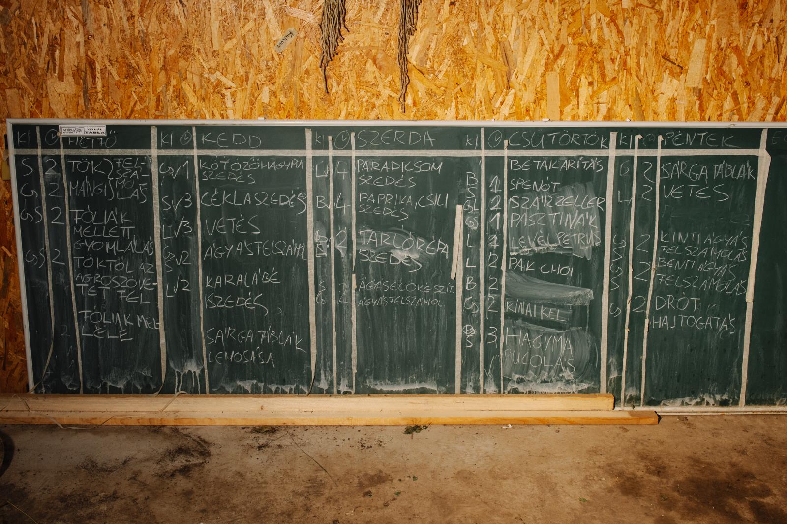 A mángold 50 árnyalata