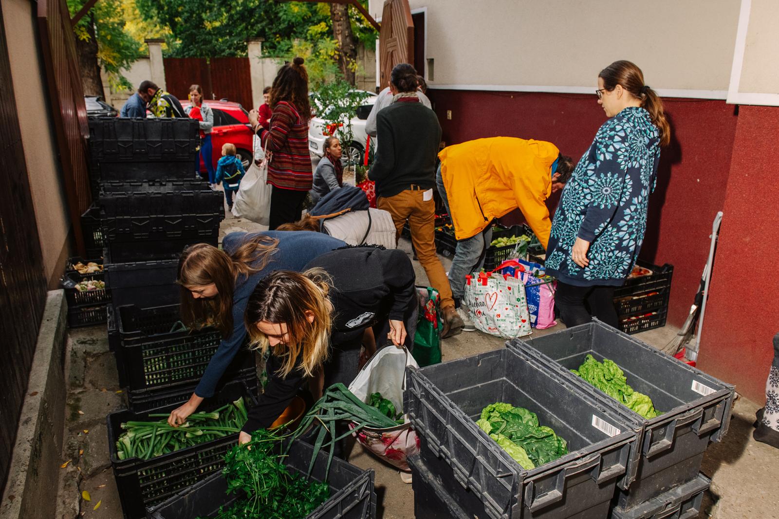 Csütörtök van, ma veszik át a zöldségeiket a tagok