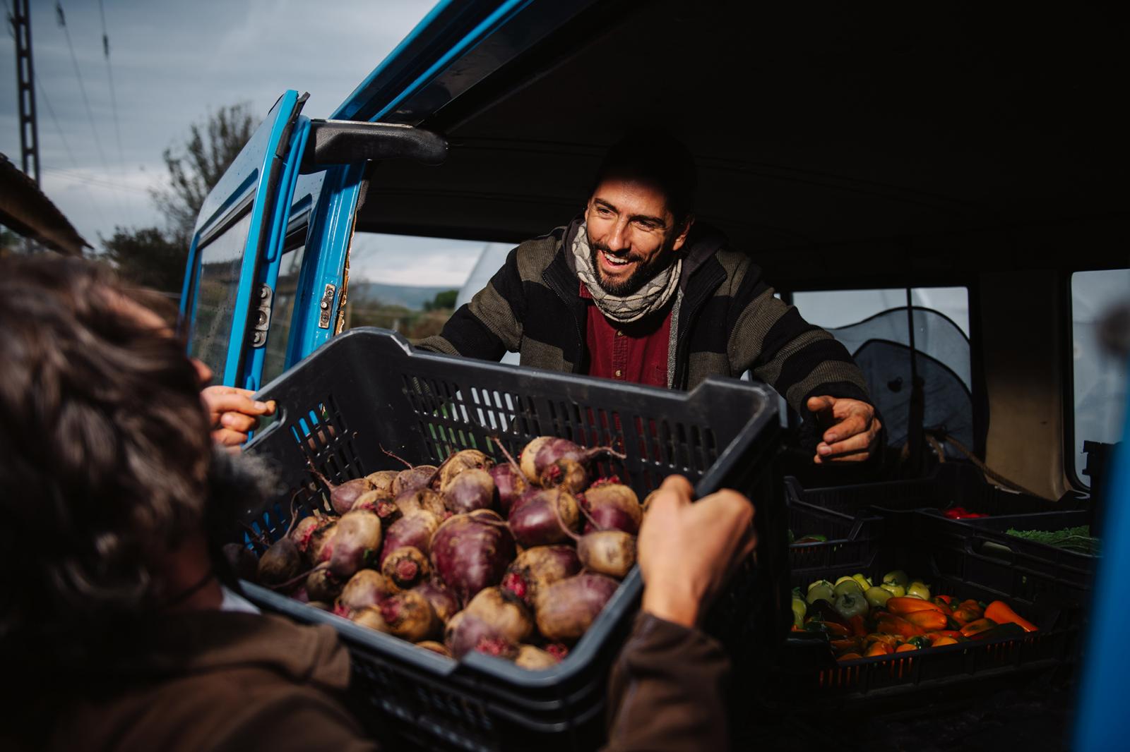 Benyhe Bernát a kisteherutóba pakolja a zöldséget a budapesti átadáshoz