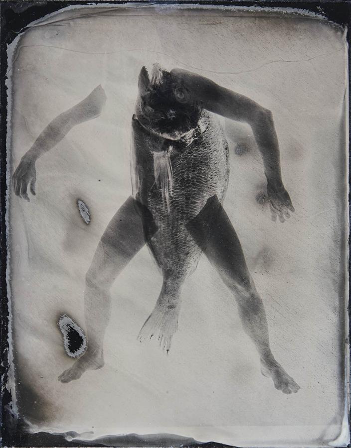 Éles Balázs - Teriomorf látomások 1. (ambrotípia)