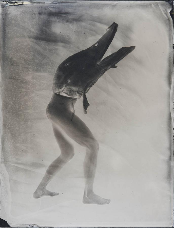 Éles Balázs - Teriomorf látomások 1. (ambrotípia)