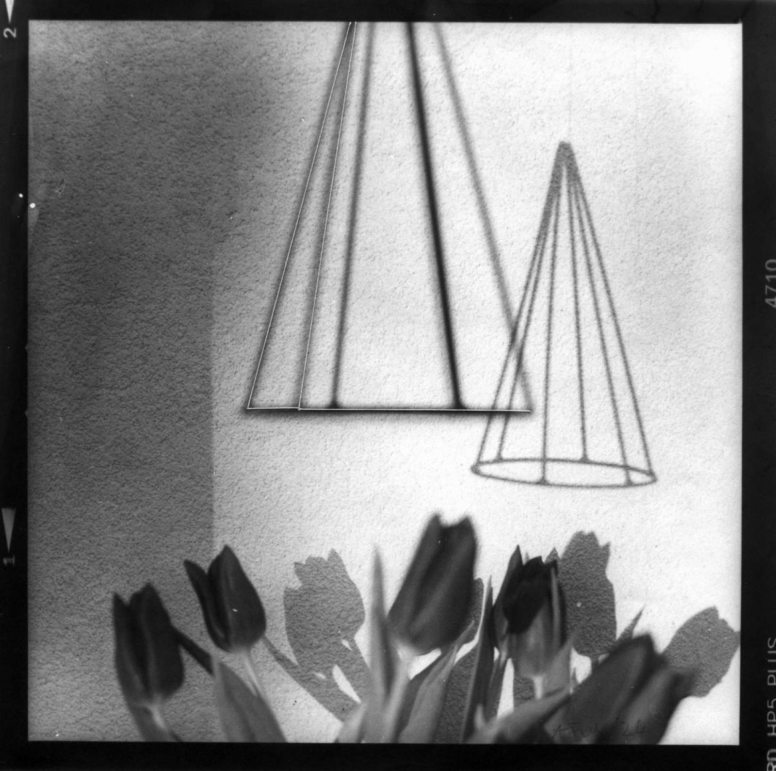 A Fehér Vera - I Can Light I (analóg nagyítás)