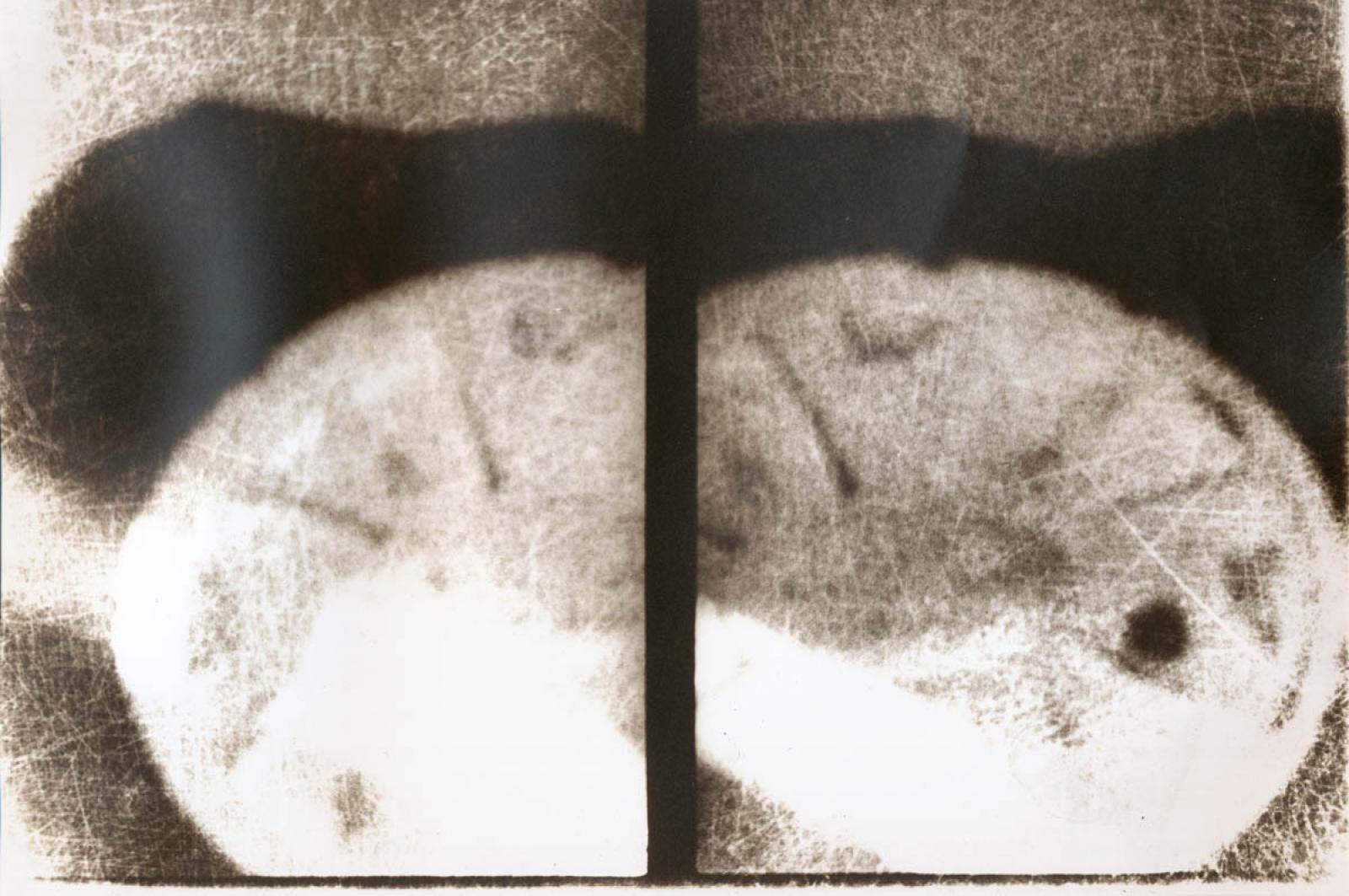 Holop Ferenc -  Éva almája (digitális print) 