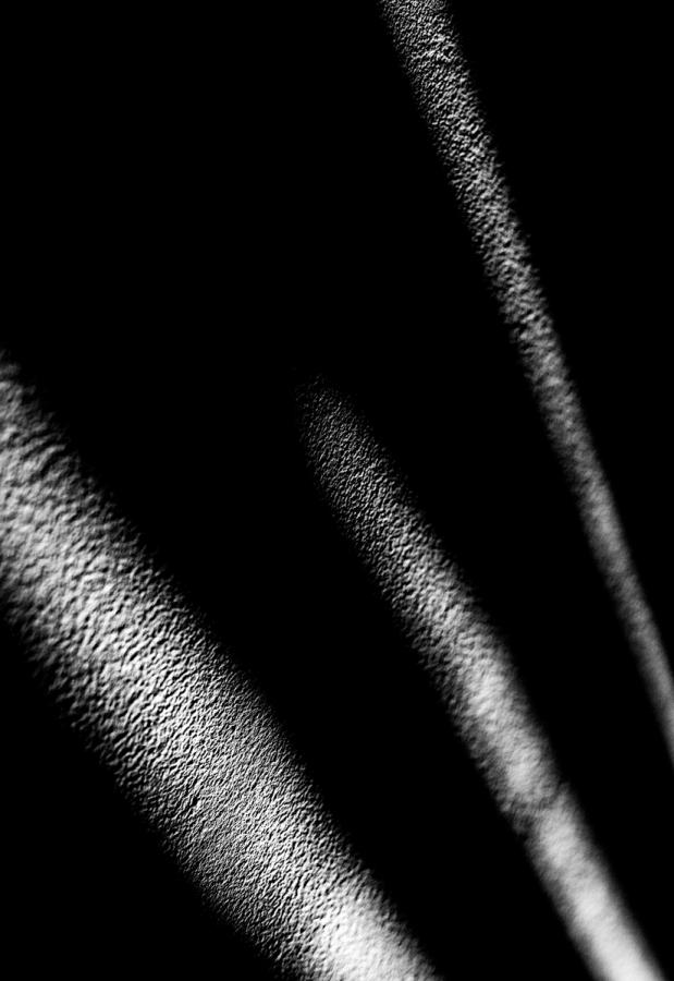 Holop Ferenc -  Éva almája (digitális print) 