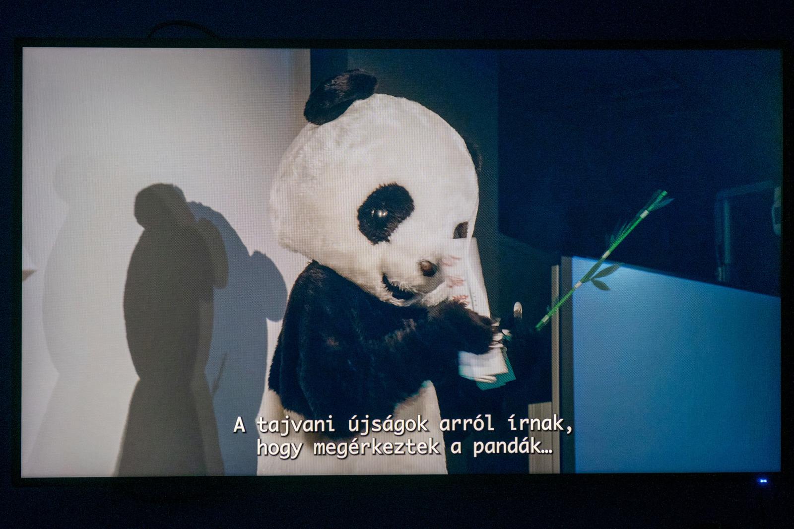 Hsu Chia-Wei 2018-as kisfilmjein a kínai pandadiplomáciáról mesél