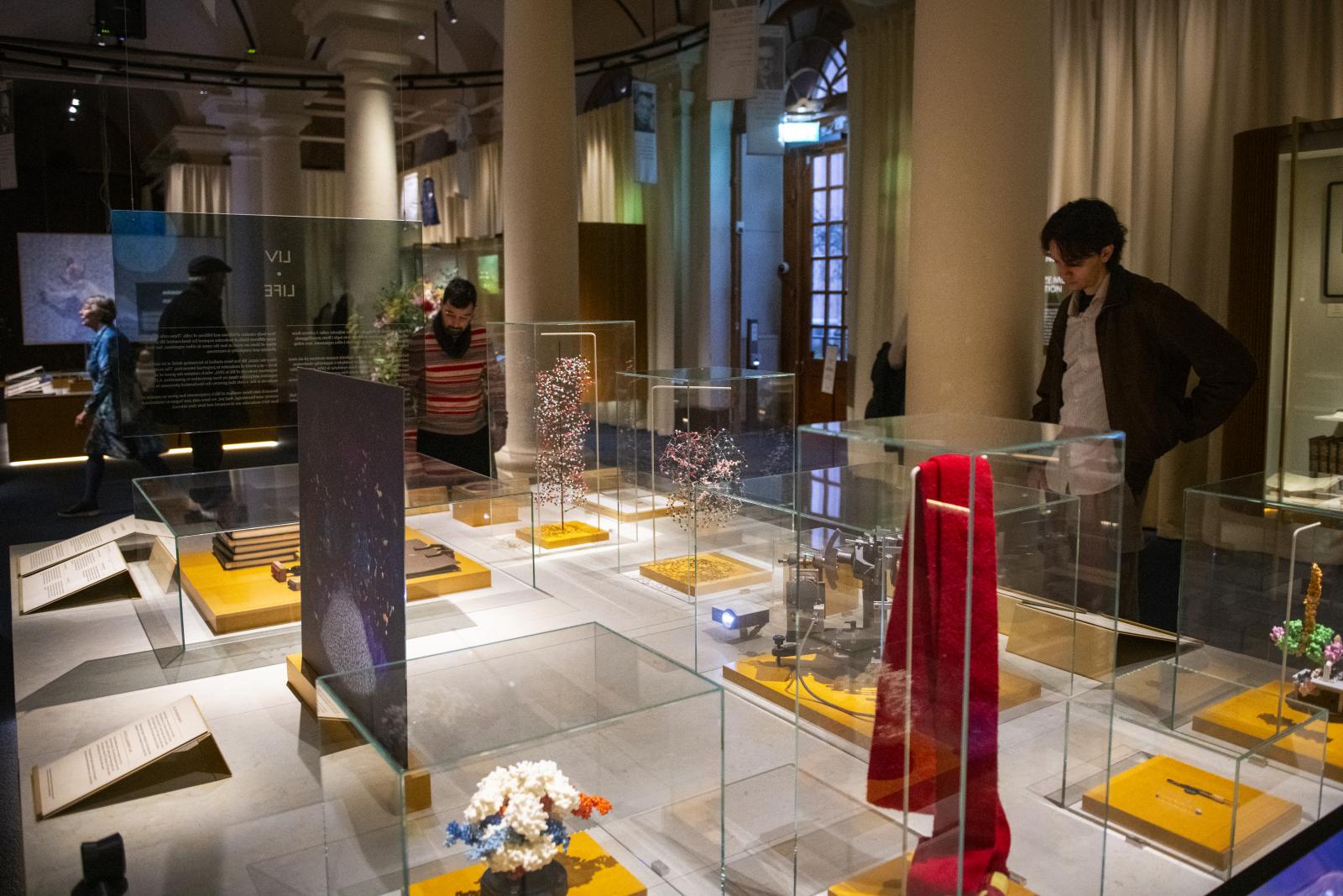 Krasznahorkai László necukéja