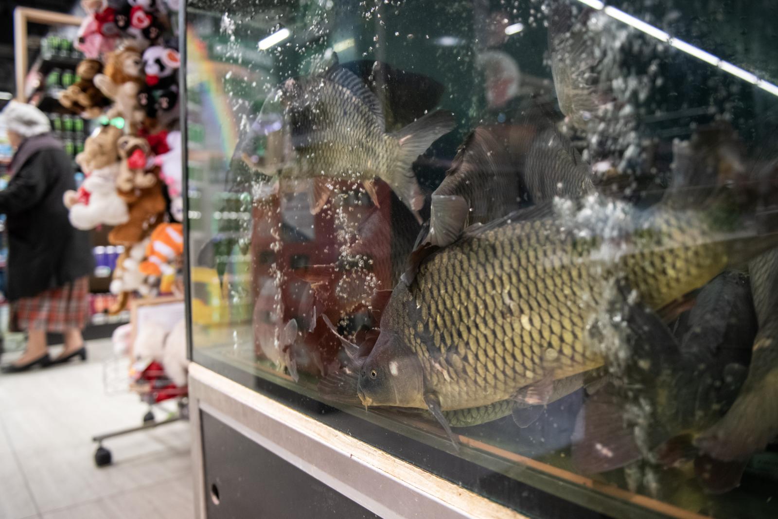 Évente 6,5 kilogramm halat eszünk, azt is főleg karácsonykor