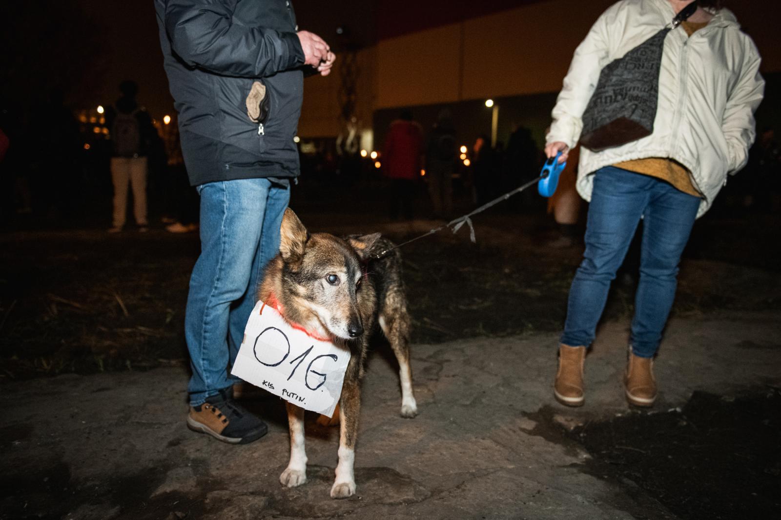 A Magyar Orvosi Kamara (MOK) által szervezett tüntetés Budapesten a Kossuth téren 2025. március 8-án