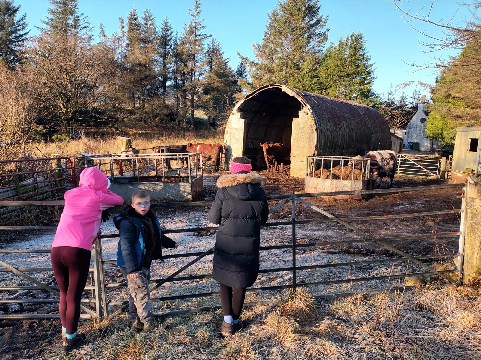 A szerző felvétele