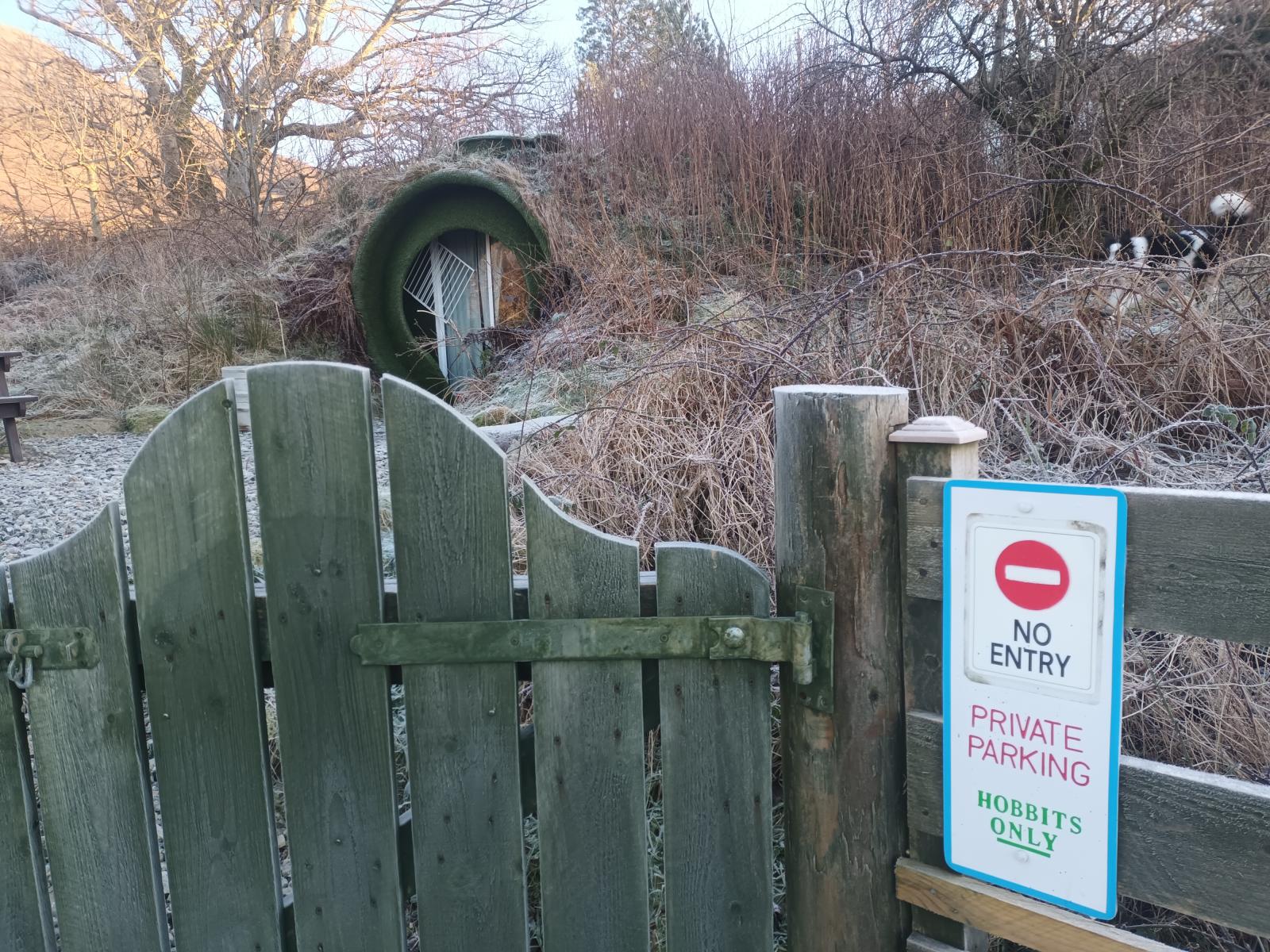 A szerző felvétele