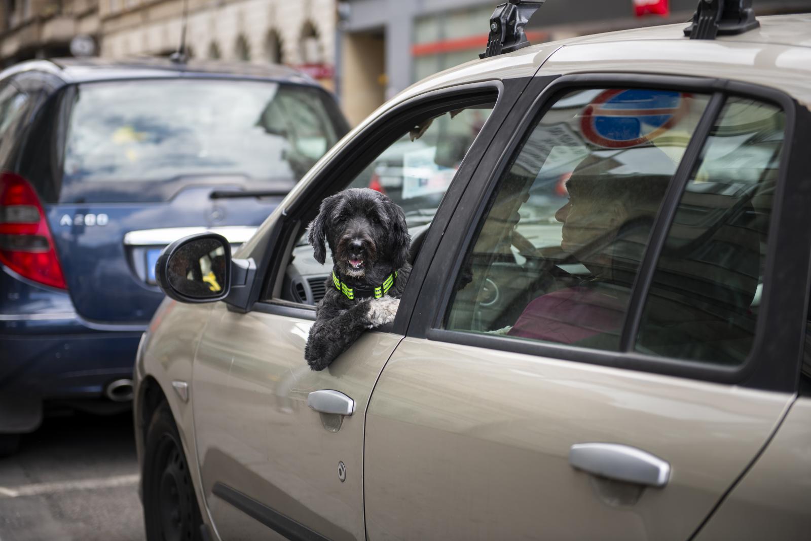 Riport a Van helyed alapítványnál április 3-án.
