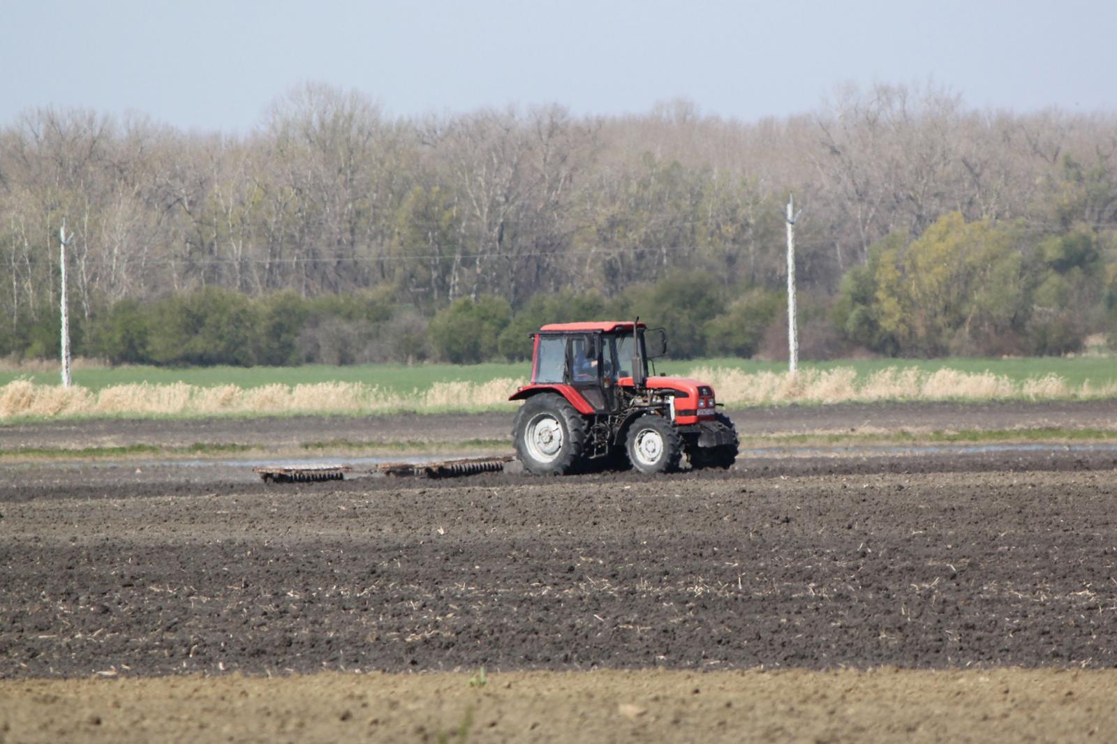 A börtönök közelében levő földeken a rabok termelik az ellátásukhoz szükséges javakat