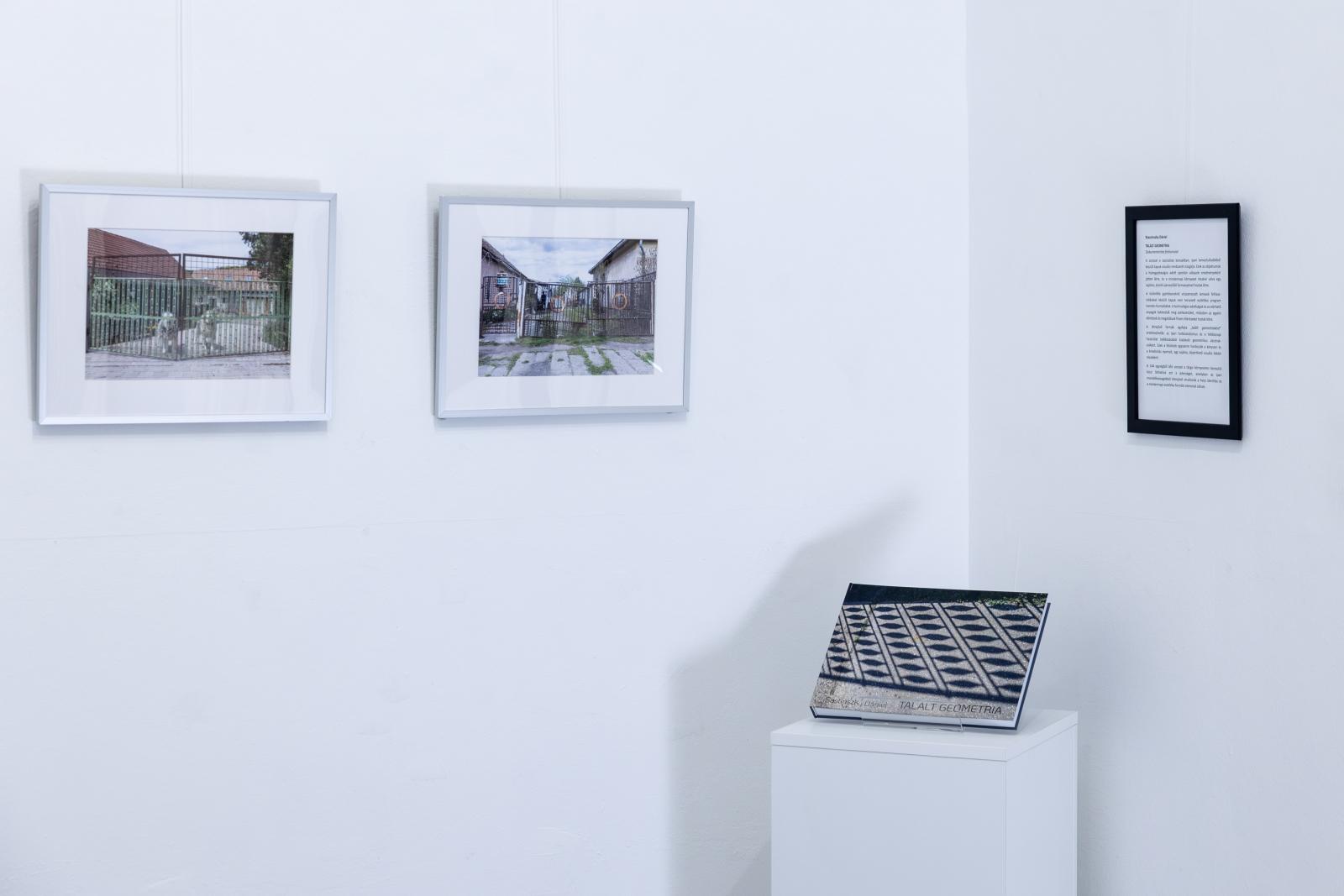 Sastinszky Dániel fotográfus képei